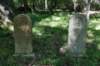 dsc_3643_fs_small.jpg