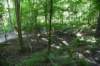 dsc_3647_fs_small.jpg