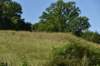 dsc_3655_fs_small.jpg