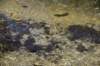 dsc_3584_fs_small.jpg