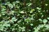 dsc_3597_fs_small.jpg