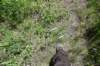 dsc_3598_fs_small.jpg
