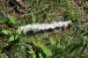 dsc_3599_fs_small.jpg
