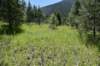 dsc_3607_fs_small.jpg