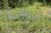 dsc_3609_fs_small.jpg