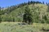 dsc_3610_fs_small.jpg