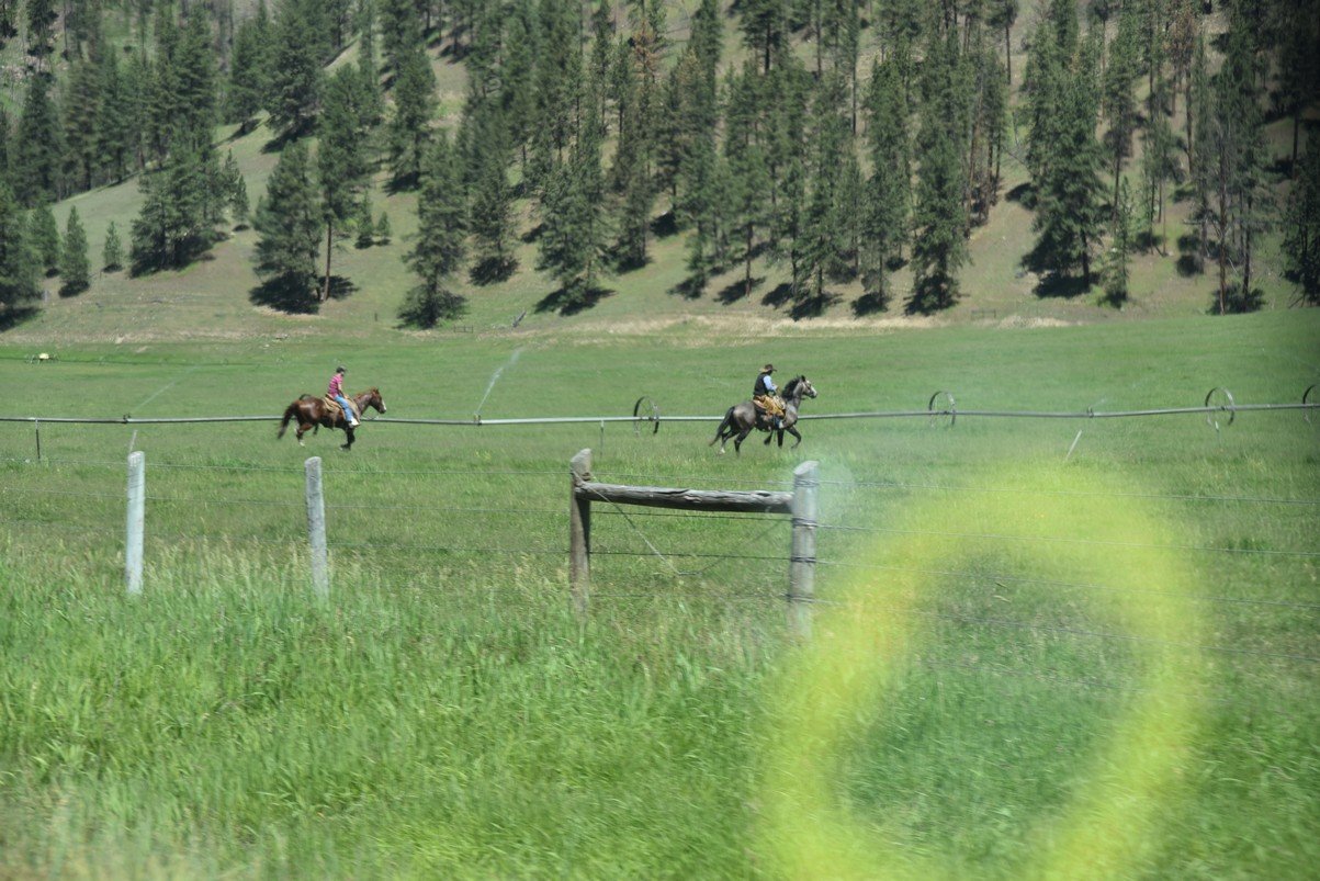 dsc_3621_fs.jpg