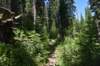dsc_3638_fs_small.jpg