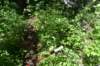 dsc_3639_fs_small.jpg