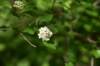 dsc_3640_fs_small.jpg