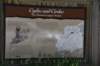 dsc_3642_fs_small.jpg
