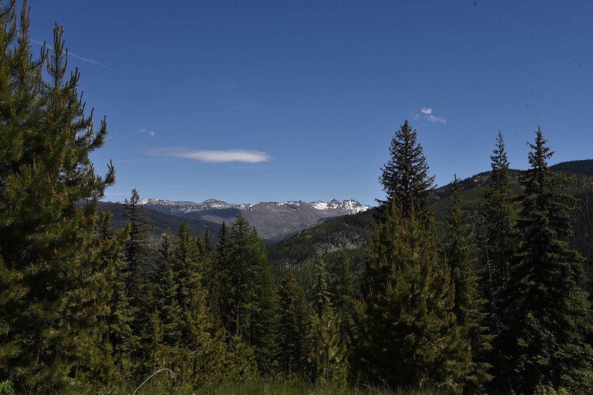 dsc_3693_fs.jpg