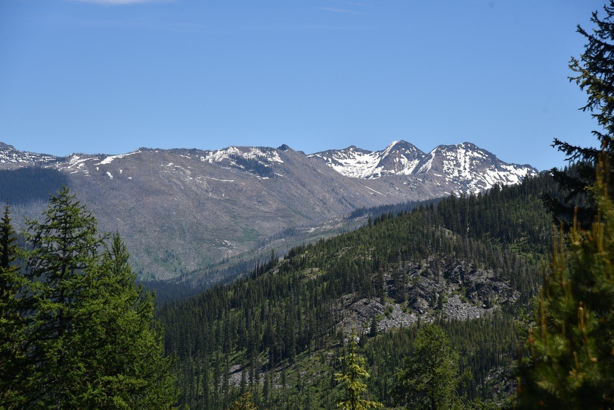 dsc_3694_fs.jpg