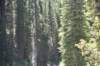 dsc_3710_fs_small.jpg