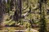 dsc_3717_fs_small.jpg