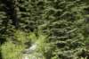 dsc_3721_fs_small.jpg