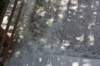 dsc_3772_fs_small.jpg