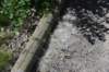 dsc_3773_fs_small.jpg