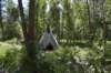 dsc_3774_fs_small.jpg
