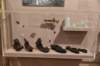 dsc_5563_fs_small.jpg