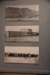 dsc_5572_fs_small.jpg