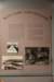 dsc_5583_fs_small.jpg