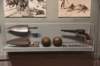 dsc_5587_fs_small.jpg