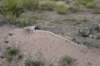 dsc_5599_fs_small.jpg
