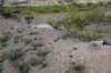 dsc_5600_fs_small.jpg
