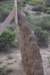 dsc_5608_fs_small.jpg