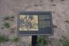 dsc_5642_fs_small.jpg